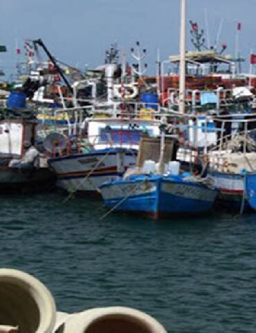 sayd قطاع الصيد البحري: إشكاليات عديدة وعدم تجاوب من سلطة الإشراف