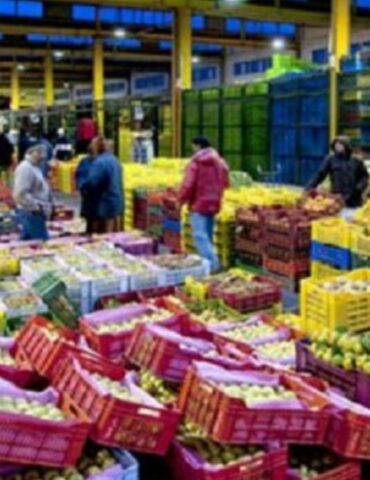 1746711180036 ارتفاع أسعار الغلال خلال أفريل 2025