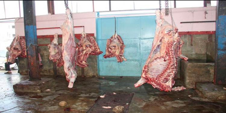 Abattoir Tunisie