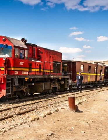 روج بعد توقفه لعقد من الزمن "الجرذون الأحمر" يتجول بين جبال الثالجة