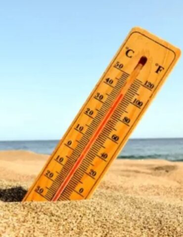 1750252952862 الحرارة تصل إلى 43 درجة بالجنوب الغربي