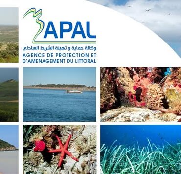APAL وكالة حماية وتهيئة الشريط الساحلي :المساحة المشغولة بالتجهيزات يجب ان لا تتجاوز نصف عرض الشاطىء