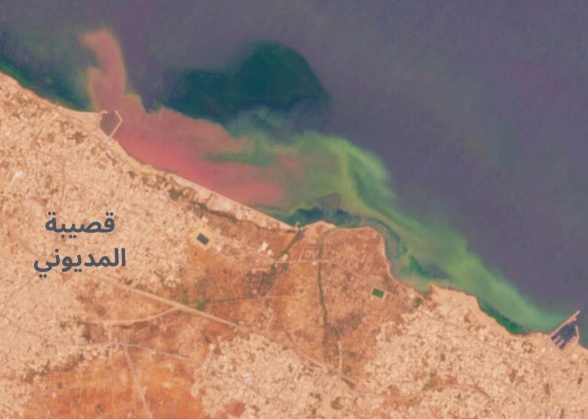 FB IMG 1750338246002 تغير لون مياه سواحل قصيبة المديوني.. حمدي حشاد يحذّر..