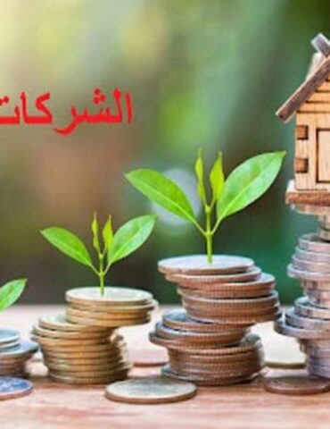 Screenshot 20250627 115419 Chrome بعث شركة أهلية مختصة في تربية النحل والعجول والدواجن والأغنام