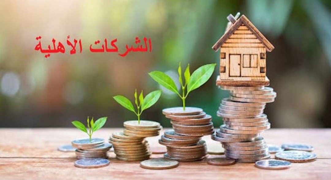 Screenshot 20250627 115419 Chrome بعث شركة أهلية مختصة في تربية النحل والعجول والدواجن والأغنام