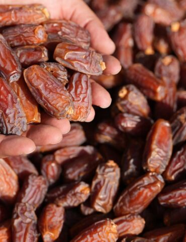 tmour تراجع عائدات صادرات التمور بنسبة 4,4 الى موفى ماي 2025