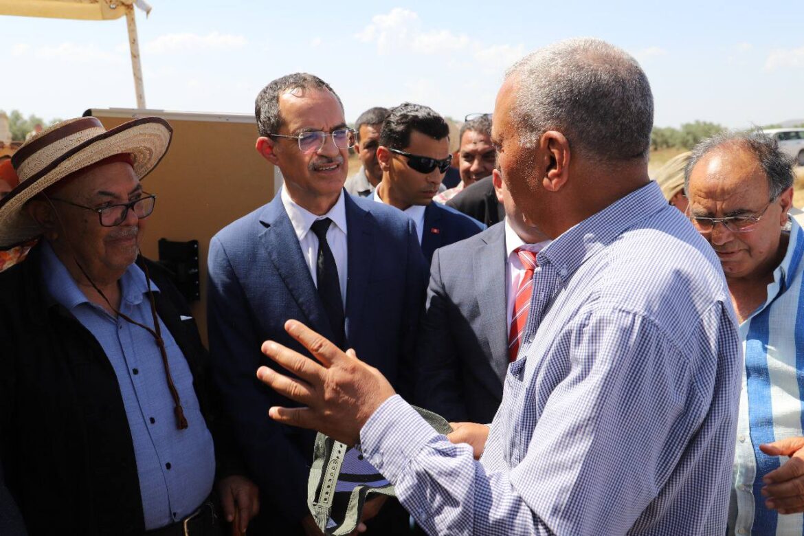 حصاد 1 زغوان: تقديرات جهوية بإنتاج في حدود مليون و131 ألف قنطار من الحبوب