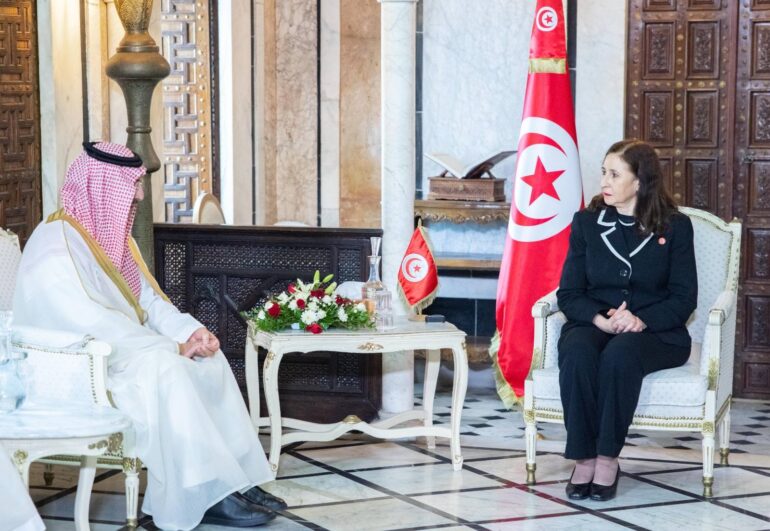 حكومة 1 التعاون التونسي السعودي ومتابعة تمويل وإنجاز عدد من المشاريع محاور لقاء رئيسة الحكومة بالرئيس التنفيذي للصندوق السعودي للتنمية