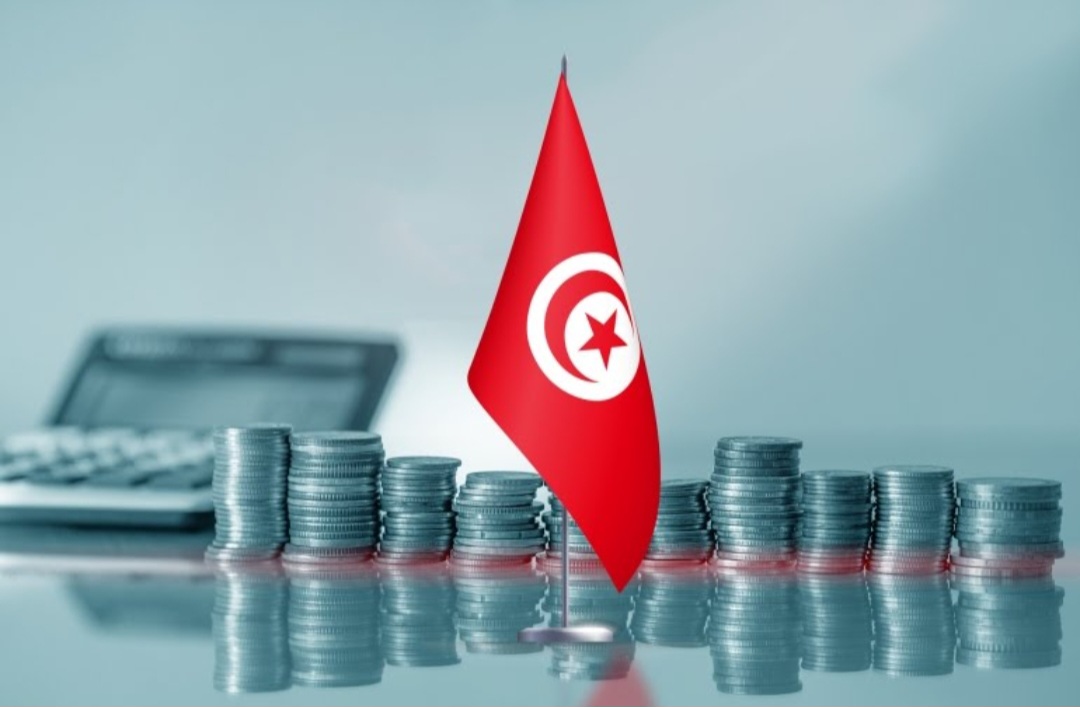 Screenshot 20250711 093300 Chrome مقارنة بالعشرية الماضية.. تونس ضاعفت 3 مرات نصيبها من التمويلات الداخلية خلال سنة 2024