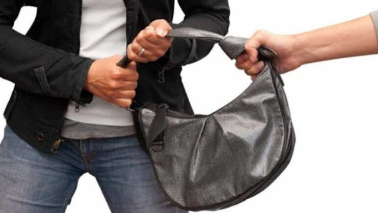brackage فضلون: تفاقم ظاهرة "البراكاجات" .. والتصدي لها لا يكون إلا بتشديد العقوبات