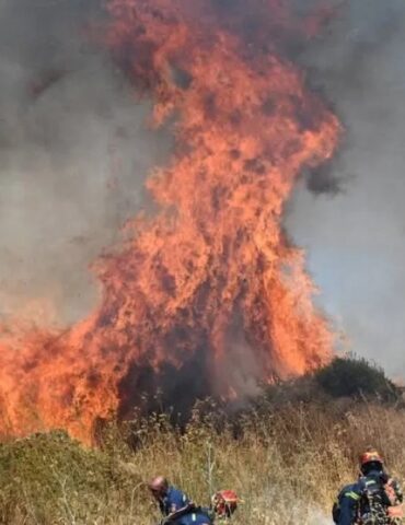 fire تركيا تسجل درجة حرارة قياسية وحرائق غابات باليونان