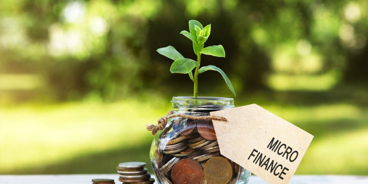 micro دراسة تكشف أهم التحديات في مجال التمويل الصغير في تونس