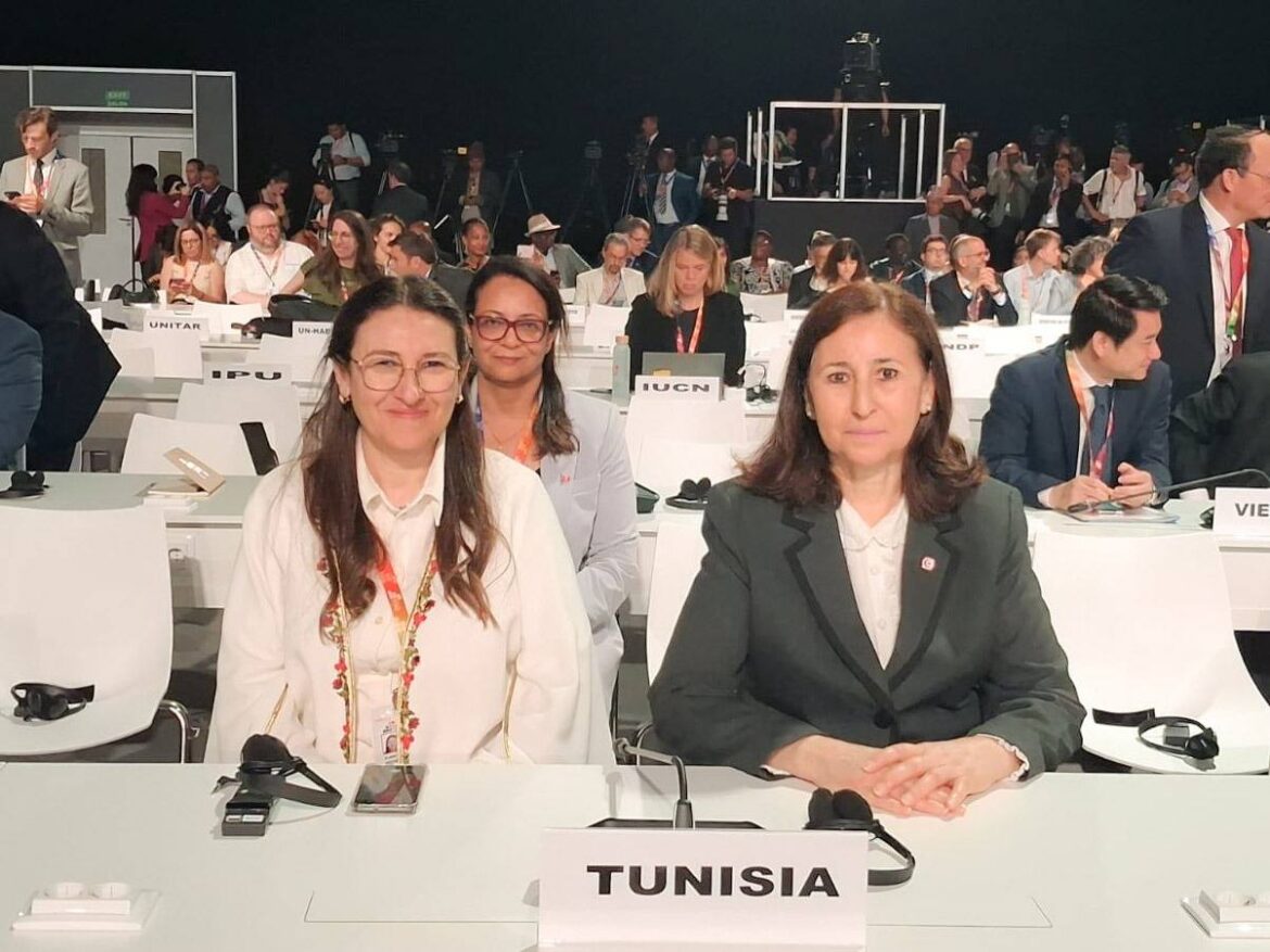 حكومممم مؤتمر إشبيلية لتمويل التنمية: تونس تدعو إلى إعادة النظر في شروط التمويل الدولي