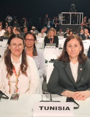 حكومممم مؤتمر إشبيلية لتمويل التنمية: تونس تدعو إلى إعادة النظر في شروط التمويل الدولي