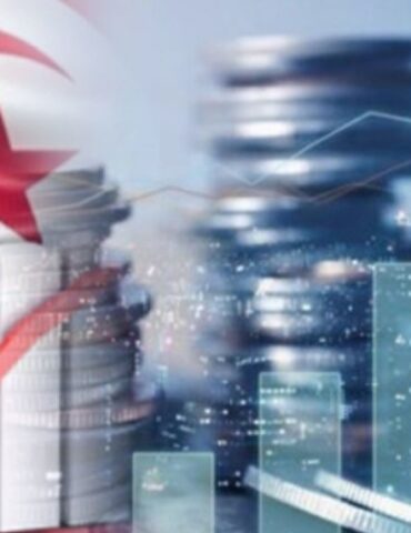 Screenshot 20250807 115635 Chrome الإستثمار في تونس يسجل زيادة بـ16.9% خلال النصف الأول من سنة 2025