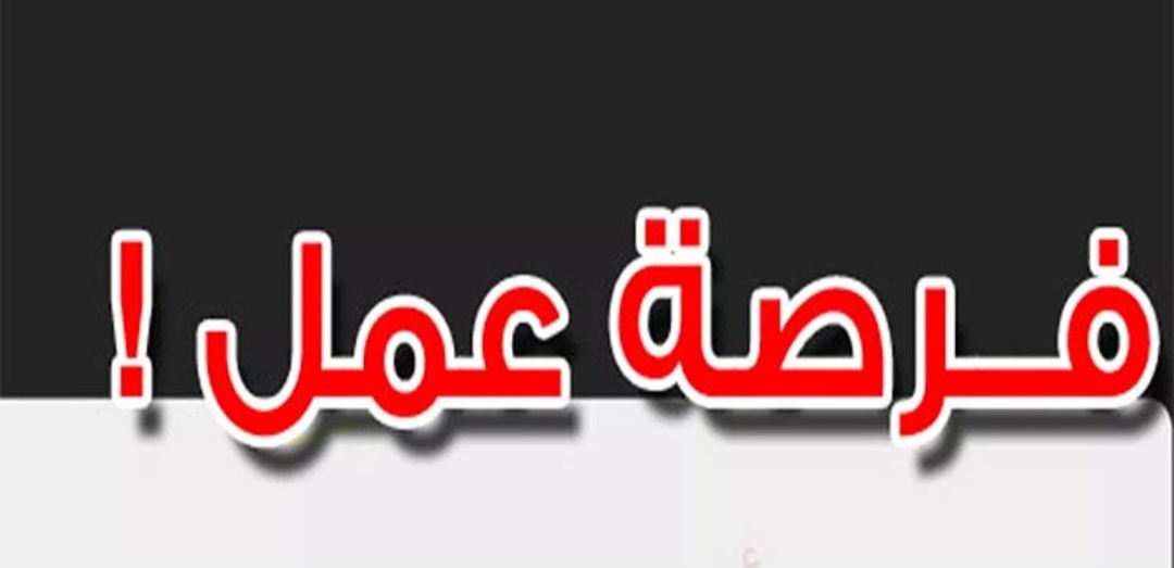 Screenshot 20250828 114905 Chrome إحداث أكثر من 95 ألف موطن شغل سنة 2024