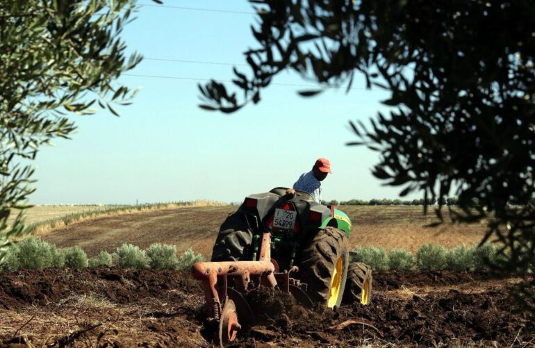 fileha مشروع قانون المالية 2026: الدولة تتكفل بوضع خط تمويل بقيمة 10 مليون دينار لفائدة صغار الفلاحين