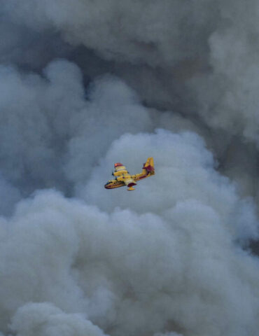 incendie احتواء أكبر حريق منذ نصف قرن في فرنسا وموجة حر تهدد بتجدده