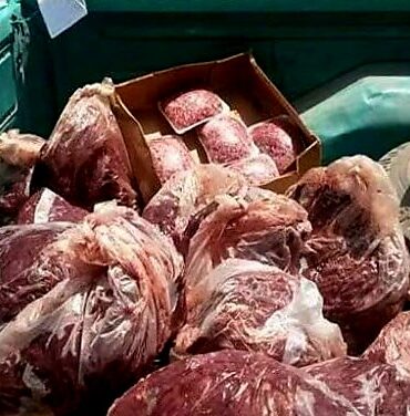 اللحوم الفاسدة حجز حوالي 13.3 طنا من اللحوم والمواد الغذائية المخزّنة في ظروف غير صحية بولاية بنزرت