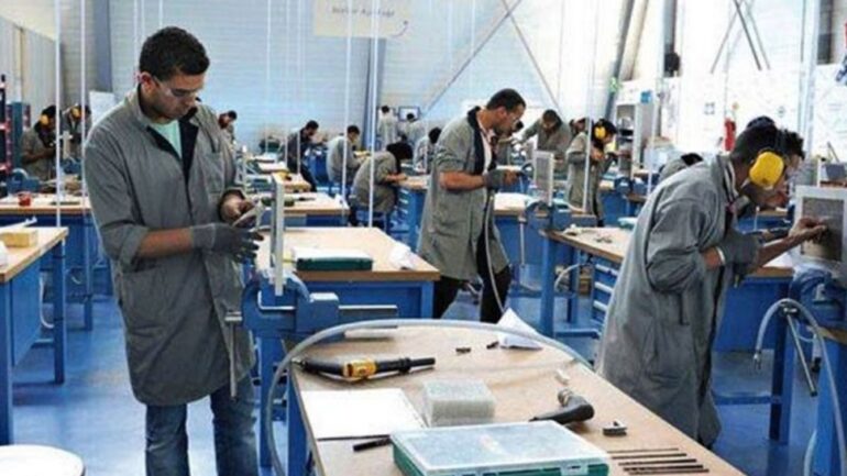 تكوين فتح اختصاصات جديدة رفّع مواطن التكوين مقارنة بالسنة التكوينية الماضية