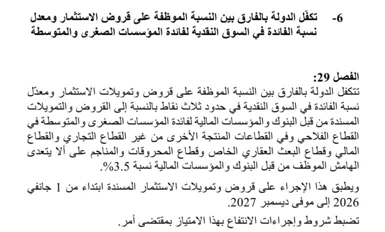 29 محمد علي فنيرة: نعمل على تدعيم وتشجيع الصناعات المحلية في مجال الانتقال الطاقي
