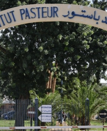 باستور غدا.. أعوان معهد باستور ينفذون إضربا عن العمل