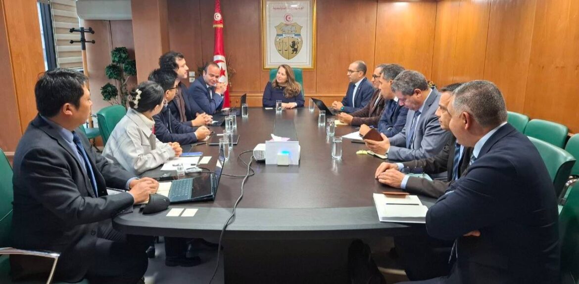 مؤسسة صينية مؤسسة صينية تعتزم إحداث وحدة جديدة لإنتاج بطاريات الليثيوم في تونس