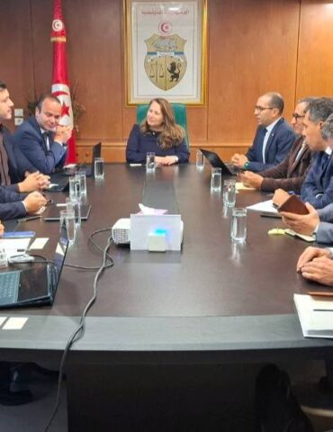 مؤسسة صينية مؤسسة صينية تعتزم إحداث وحدة جديدة لإنتاج بطاريات الليثيوم في تونس