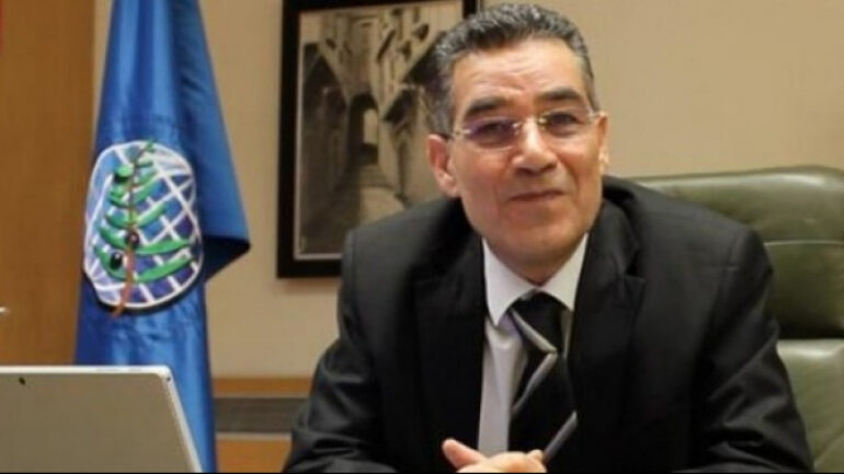 1561145930 article لطفي غديرة: موسم زيت الزيتون الحالي يُعد ذروة إنتاج استثنائية