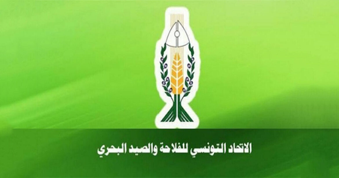 الفلاحة اعتصام مفتوح لأعوان اتحاد الفلاحة احتجاجًا على تأخر الأجور