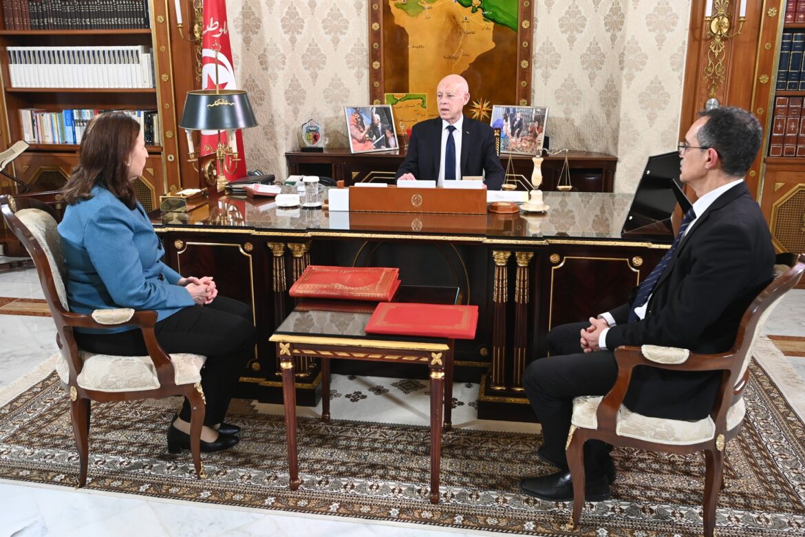 سعيد فلاحة قيس سعيّد: لا مجال لترك الفلاّحين يعزفون عن جني الزيتون