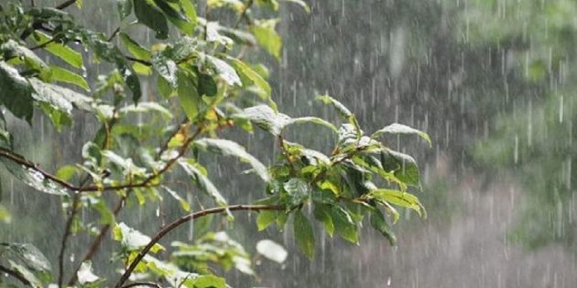meteo كميات هامة من الأمطار خاصة بالشمال خلال 24 ساعة الماضية