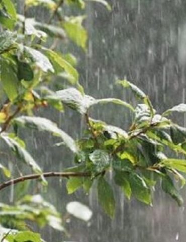 meteo كميات هامة من الأمطار خاصة بالشمال خلال 24 ساعة الماضية