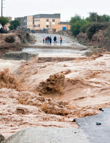 نابل نابل: الانطلاق في معاينة و ضبط خسائر القطاع الفلاحي نتيجة الفيضانات الأخيرة