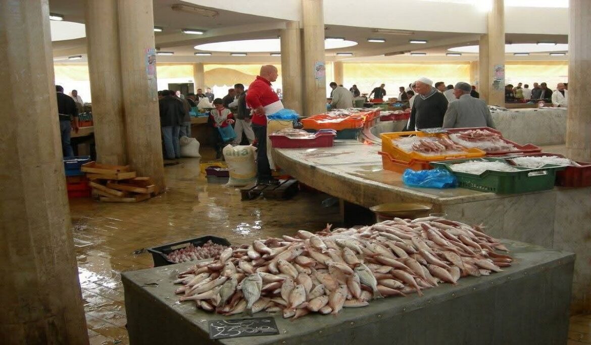 سوق السمك "مصالحة مع المواطنين".. انخفاض أسعار السمك في سوق باب الجبلي بصفاقس