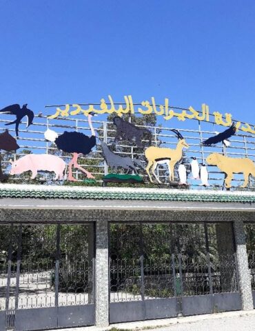 471324702 510630028704527 5948023757369235956 n بلدية تونس: غلق حديقة الحيوانات بالبلفيدير لمدّة شهر للصيانة والتنظيف