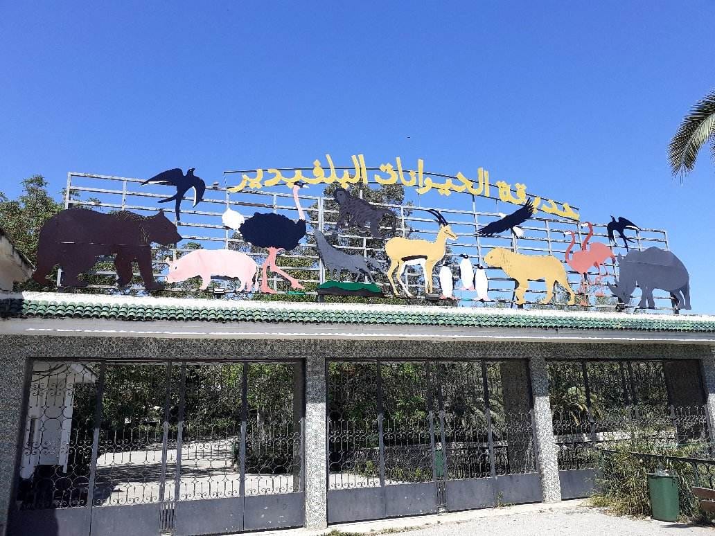 471324702 510630028704527 5948023757369235956 n بلدية تونس: غلق حديقة الحيوانات بالبلفيدير لمدّة شهر للصيانة والتنظيف