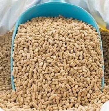 58d643f13997cfefa61176072d52e78c الديوان الوطني للأعلاف يضبط أسعار بيع الذرة العلفية المعبأة وإجراءات التزود بها