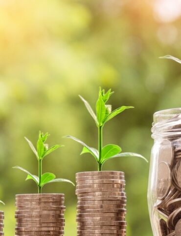eco vert إطلاق دليل منهجي لدفع قطاع البنوك والتمويل نحو "الاقتصاد الأخضر"