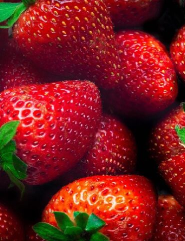 fraises