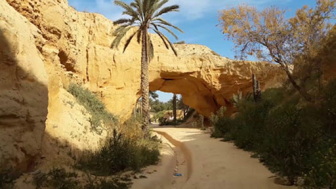 الحديقة الجيولوجية سيدي ظاهر تونس تتسلم الشهادة الرسمية لانضمام الحديقة الجيولوجية "الظاهر" إلى شبكة اليونسكو
