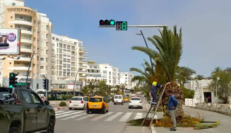 مرور إشارات ضوئية وممرات آمنة: خطوة جديدة لتحسين السلامة المرورية بسوسة