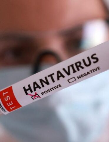 hantavirus