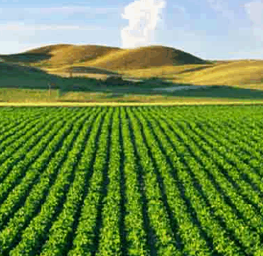 terres agricoles domaniales