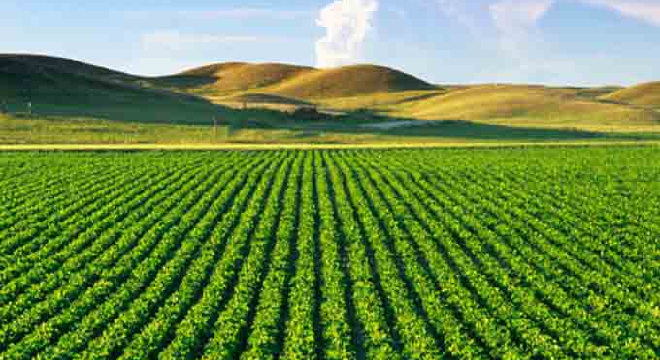 terres agricoles domaniales