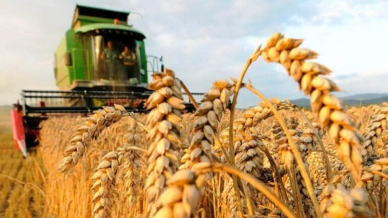 حبوب اتحاد الفلاحة يطالب بالترفيع في أسعار قبول الحبوب وتمديد آجال منحة التسليم السريع