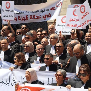 726392334 1844223646989389 4987205764121986192 n المحامون ينفّذون اضرابا عاما وطنيا