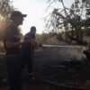 Le Kef : un incendie ravage 120 hectares de terres agricoles