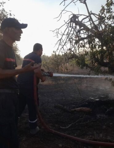 Le Kef incendie