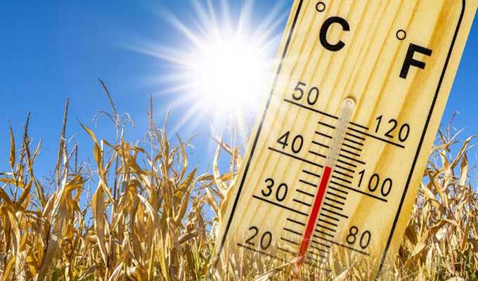 Meteo 3 3 طقس اليوم: ارتفاع درجات الحرارة إلى 41 درجة وظهور الشهيلي